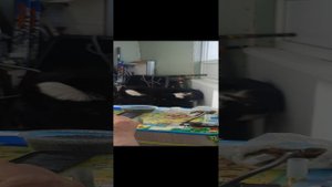 Весенняя охота 2022.Патрон для уверенной добычи гуся.