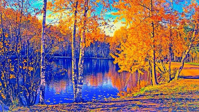 Звук шагов по осенней сухой листве, звуки леса, скачать бесплатно звуки для ваших видео смотреть онлайн