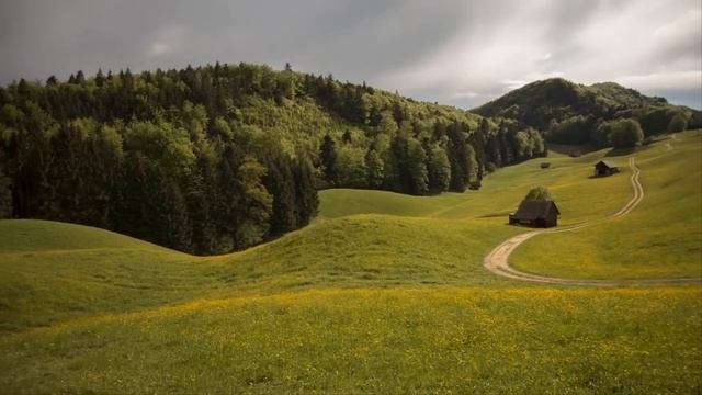 Отец наблюдал, как дочь под столом соблазняет мужа своей сестры, а тот был не против. Вскоре отец… смотреть онлайн