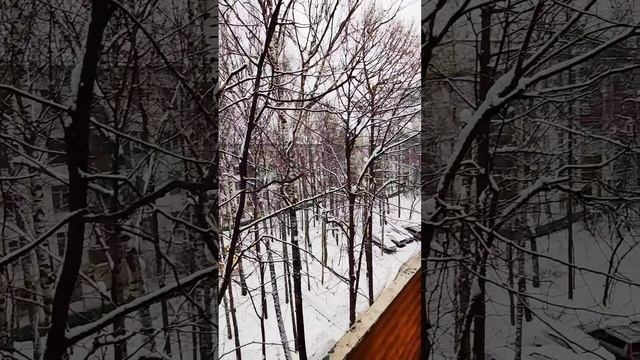 Крыша на последнем этаже. Ремонт козырька над балконом. Установка навеса своими руками.