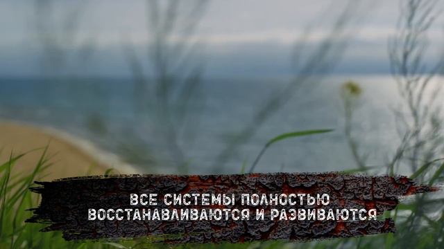 МОЩНЫЙ САБЛИМИНАЛ (САБЛИМИНАЛЫ) на ЗДОРОВЬЕ  и ИСЦЕЛЕНИЕ от ВАДИМА ЗЕЛАНДА. СКРЫТЫЕ АФФИРМАЦИИ.