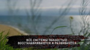 МОЩНЫЙ САБЛИМИНАЛ (САБЛИМИНАЛЫ) на ЗДОРОВЬЕ и ИСЦЕЛЕНИЕ от ВАДИМА ЗЕЛАНДА. СКРЫТЫЕ АФФИРМАЦИИ.