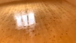 Яхтный бесцветный лак, часть 2