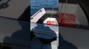Rib Riverboats 380 и Tohatsu MFS 9.9
