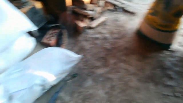 Обзор семян на 2019г. Форвард-Златсон. смотреть онлайн