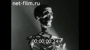 1967г. Москва. Стасова Елена Дмитриевна.