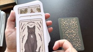 Woodland Wardens by Jessica Roux | Oracle Deck Full Flip Through | #oracledeck #divination