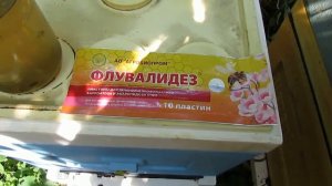 работа с пчелами в августе - обработка пчел от клеща Варроа, пластины флувалидез