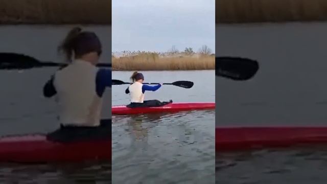 гребля. #shortsvideo смотреть онлайн