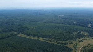 Село Саблуково, леса кругом