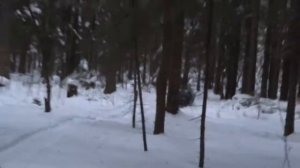 Мотобуксировщик "Карел"