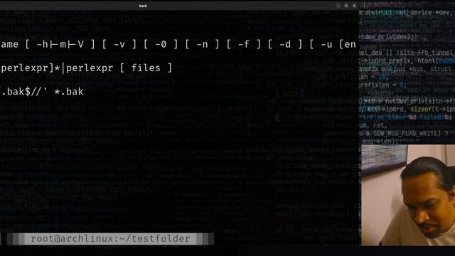 Linux command-line: Bulk rename files using the 'rename' command. смотреть онлайн