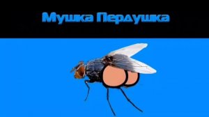Мушка Пердушка