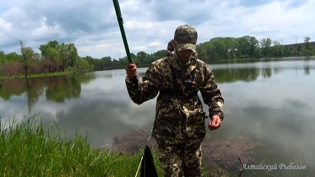 РЫБАЛКА НА ЛЕСНОМ ОЗЕРЕ|МАХОВАЯ УДОЧКА/Поплавок крупным планом смотреть онлайн