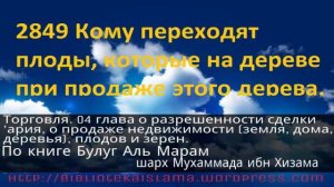 2849 Кому переходят плоды, которые на дереве при продаже этого дерева