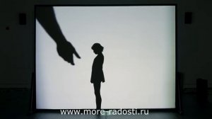 Шоу теней на праздник