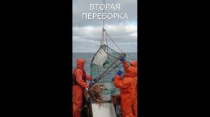 Приманка для Краба