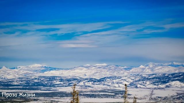 -Внучек голодает, купи хоть хлеба! - упала на колени бабка перед богачом, но едва он увидел медальо смотреть онлайн