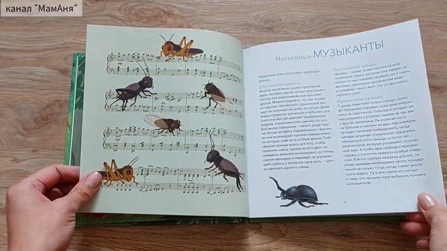 О чём болтают животные/ Ф. Дожей/ ил. Натали Шу смотреть онлайн