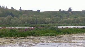 РЕКА ОКА (НОВОСЕЛКИ)2023.07.24