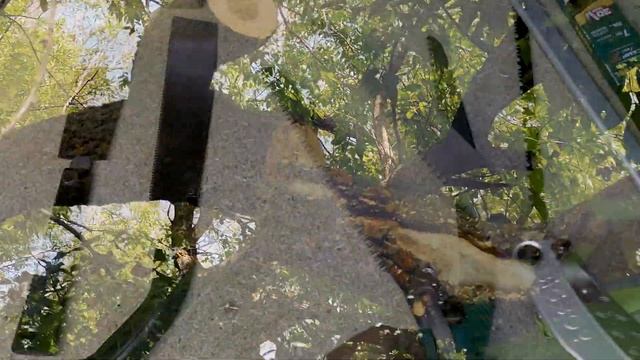 Как выбрать пилу с японским зубом. смотреть онлайн