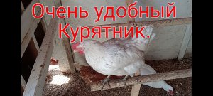 Обустройство курятника. Модернизация. Так стало гораздо удобнее.