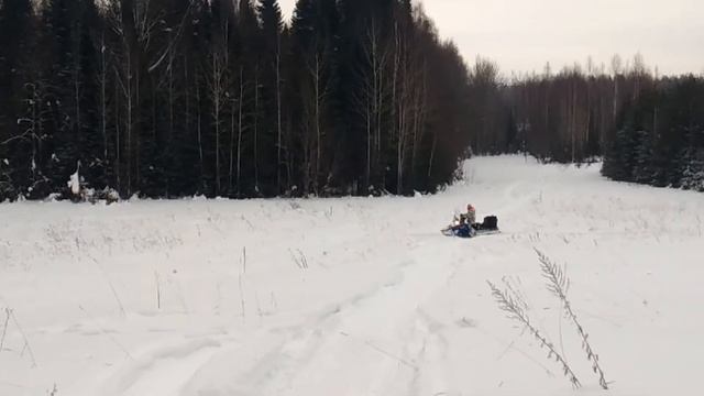 Изучаем поведение кота.