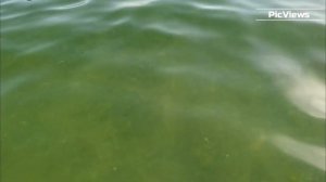 Погода в Анапе сегодня 5 июня 2024. Анапа. Центральный пляж. Чёрное море. Отдых и сезон в Анапе 2024