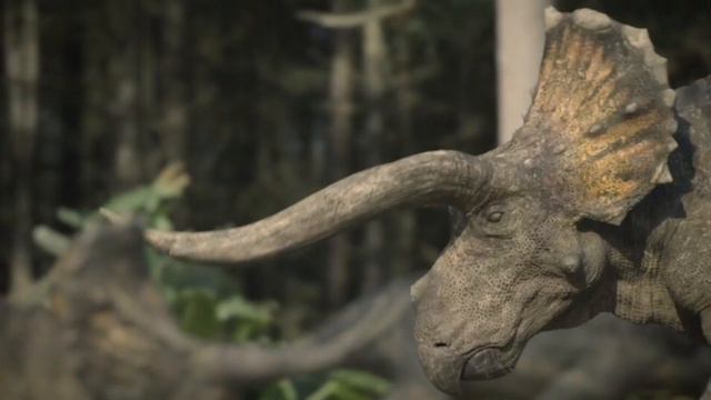 North America REVIEW | Prehistoric planet 2 смотреть онлайн