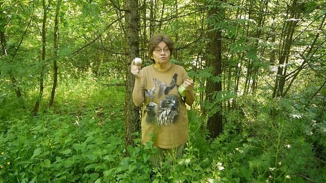 Пряность каменного века смотреть онлайн