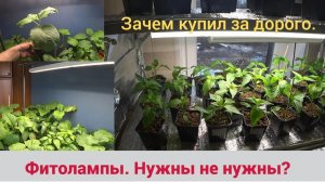 Новые светодиодные Фитолампы полного спектра для моей рассады и не только. Зачем купил за дорого_