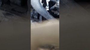 Гул насоса ГУРа Cruze и подтекание трубки АКПП в -25С