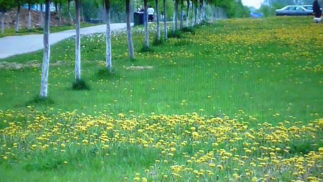 Поэтическая гостиная. Часть 2. смотреть онлайн