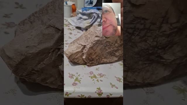 заготовки для резьбы мрамор СССР Нож с головой Асетра смотреть онлайн