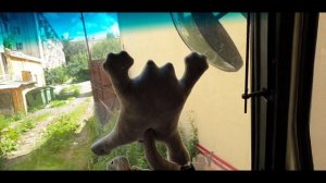 Видеоблог | Не уместился в ворота,узкий выезд. МАЗ - MAN