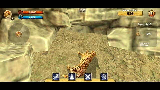 Wild Cheetah Sim 3D (wild cheetah simulator game) - Cheetah Faimly - Android Gameplay HD смотреть онлайн