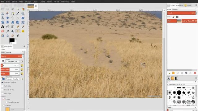 Removing items with GIMP смотреть онлайн