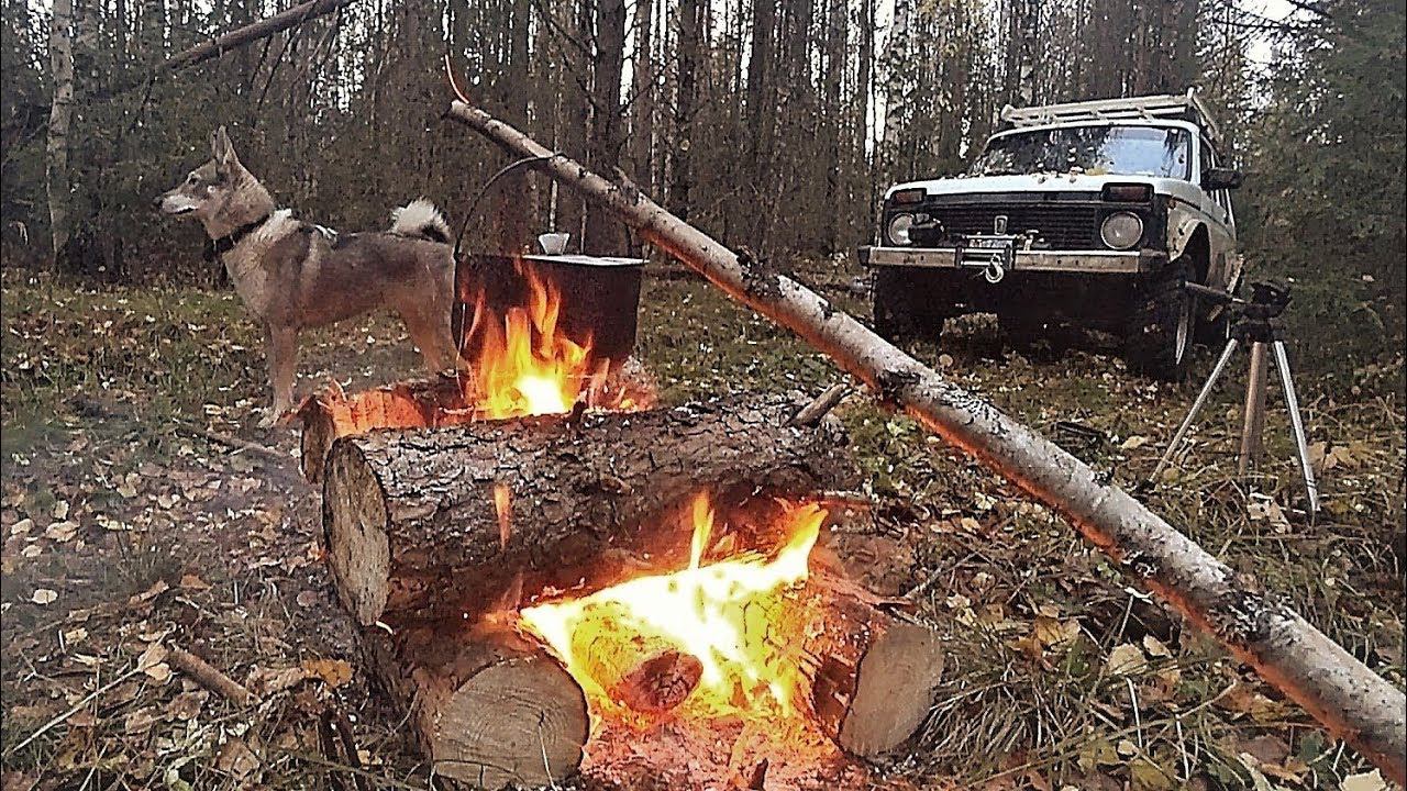 ''ТРИ ДНЯ В ЛЕСУ'' НАШЁЛ СТАРИННЫЕ ВЕСЫ! ЭСТАКАДУ!  ''НАСТОЯЩИЕ ЛЕСНЫЕ РАСКОПКИ''
