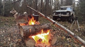 ''ТРИ ДНЯ В ЛЕСУ'' НАШЁЛ СТАРИННЫЕ ВЕСЫ! ЭСТАКАДУ!  ''НАСТОЯЩИЕ ЛЕСНЫЕ РАСКОПКИ''