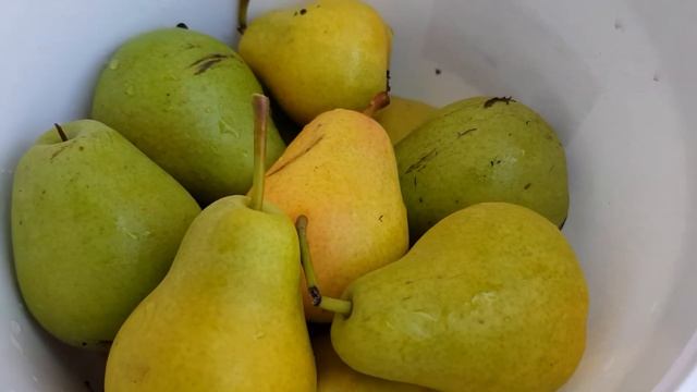 Груша Чижовская и Флейта смотреть онлайн