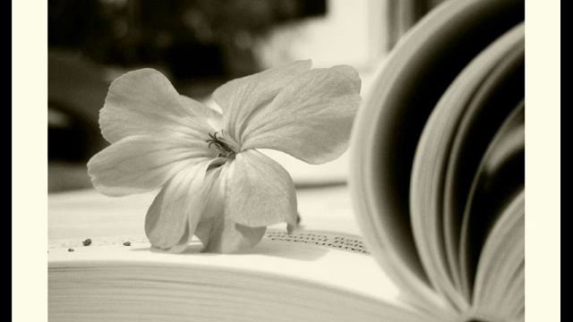 Alex Rize - Nebula (Elfsong Remix) смотреть онлайн