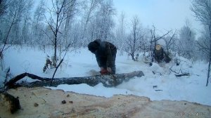 Поездка в лес за валежником на снегоходе