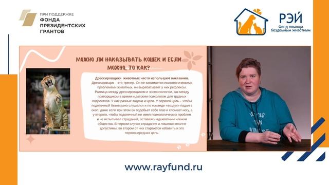 Поощрение и наказание: секреты воспитания кошки