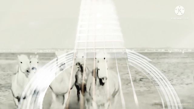 "Лошади белые"- EGER смотреть онлайн