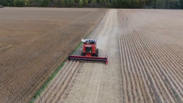 Indiana Soybean Harvest смотреть онлайн
