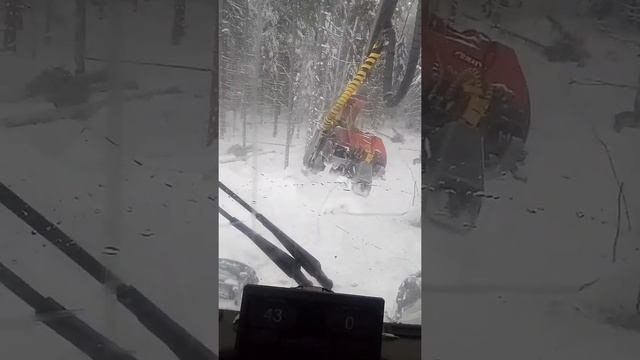 оператор харвестера