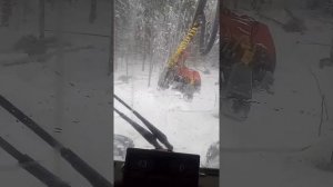 оператор харвестера
