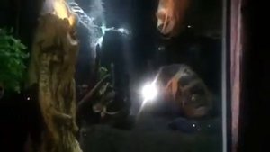 Аквариум на 500 литров и тумбу своими руками