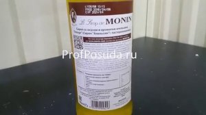 Сироп ”Апельсин” «Монин» Monin 0.7 арт 1181