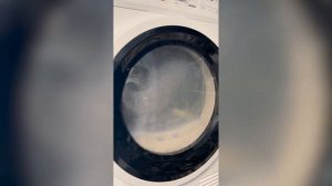 Сушильная машина Weissgauff WD 6128 D